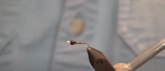 March Fly of the Month: Bruce Freet Chironomids