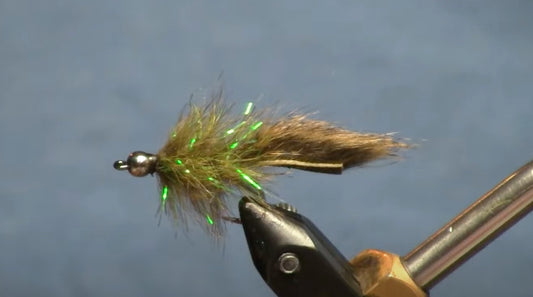 October Fly of the Month: Hibernator Variant