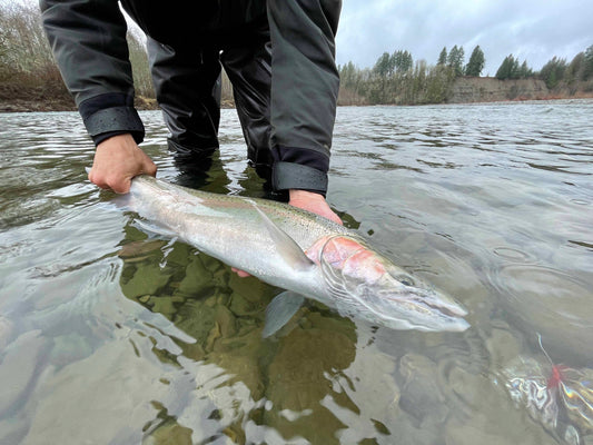 Fly Fishing Report: March 2024