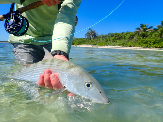 Fly Fishing Report: February 2024