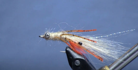 December Fly of the Month: Veverka's Spawning Mantis Shrimp