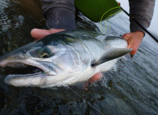 Fly Fishing Report: September 2015