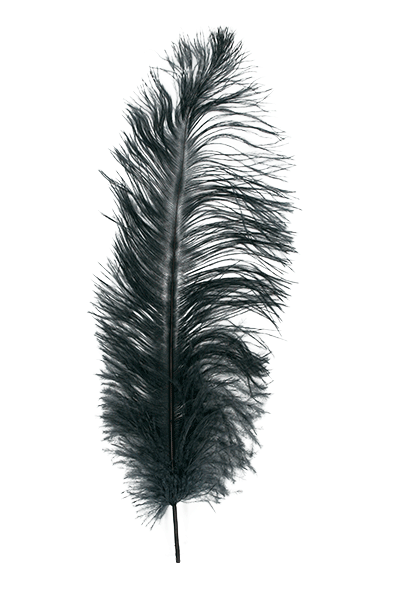 MFC Premium Ostrich
