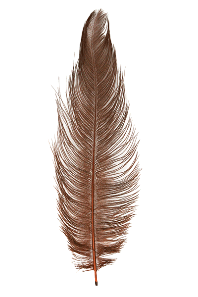 MFC Premium Ostrich