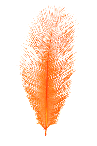 MFC Premium Ostrich