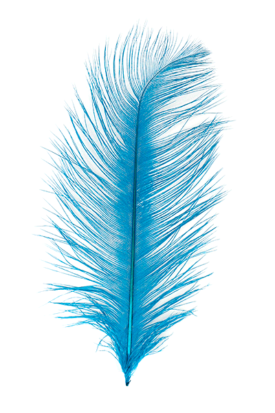 MFC Premium Ostrich