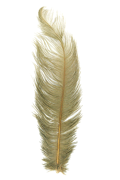 MFC Premium Ostrich