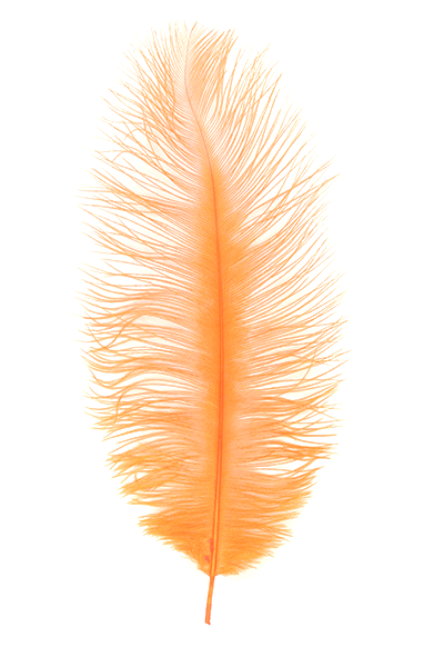 MFC Premium Ostrich