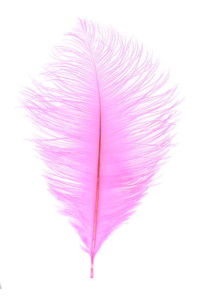 MFC Premium Ostrich