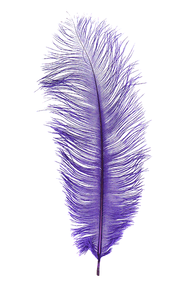 MFC Premium Ostrich
