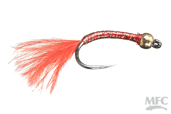 Rowley's Holo Worm