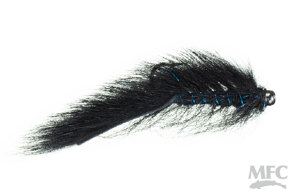 Balanced Squirrel Leech