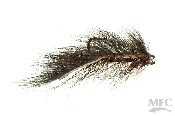 Balanced Squirrel Leech