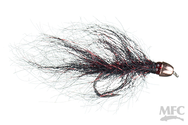 Chan's Ruby-Eyed Leech