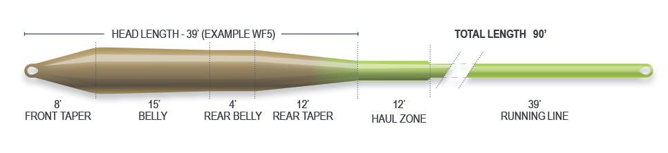 Airflo Superflo Universal Taper