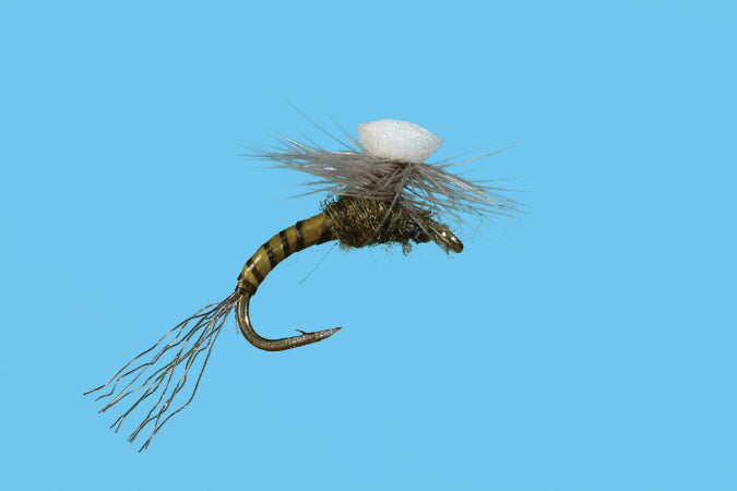 brooks bait fishing lure origin Sprout Baetis – The Confluence Fly Shop Its delicate presentation and Firehole Sticks 520 Fish Tail Infection Treatment Color:White Shad