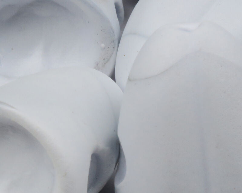 Surface Seducer Double Barrel Poppers
