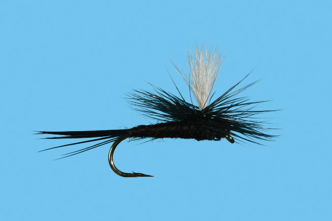 Parachute Black Gnat