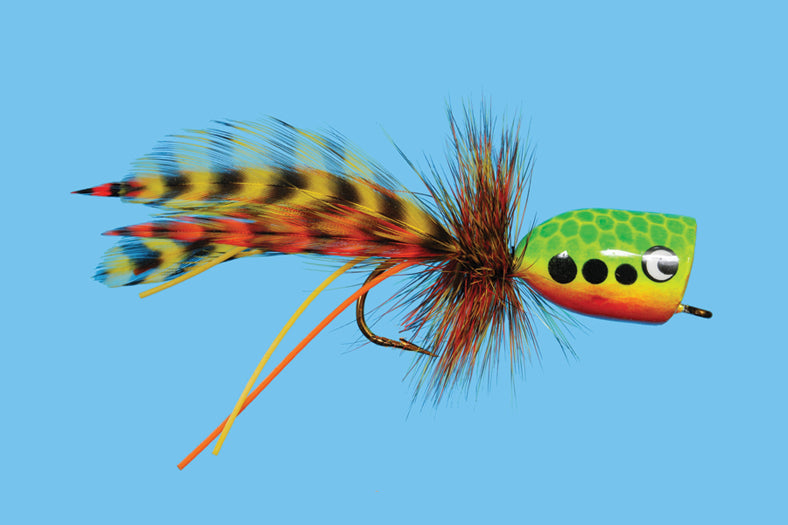 Fire Tiger Popper â The Confluence Fly Shop