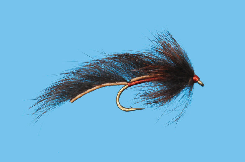 Squirrel Leech