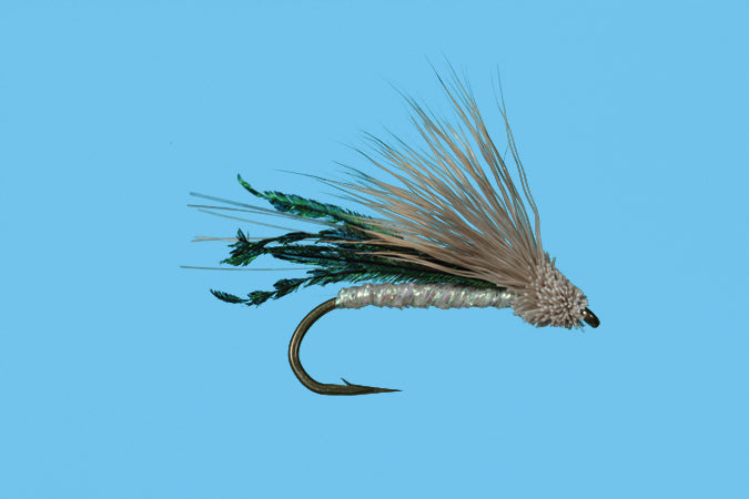 Chumpy Fry - Main Image