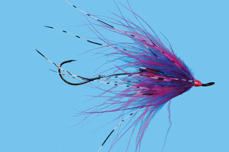 Hoh Bo Spey