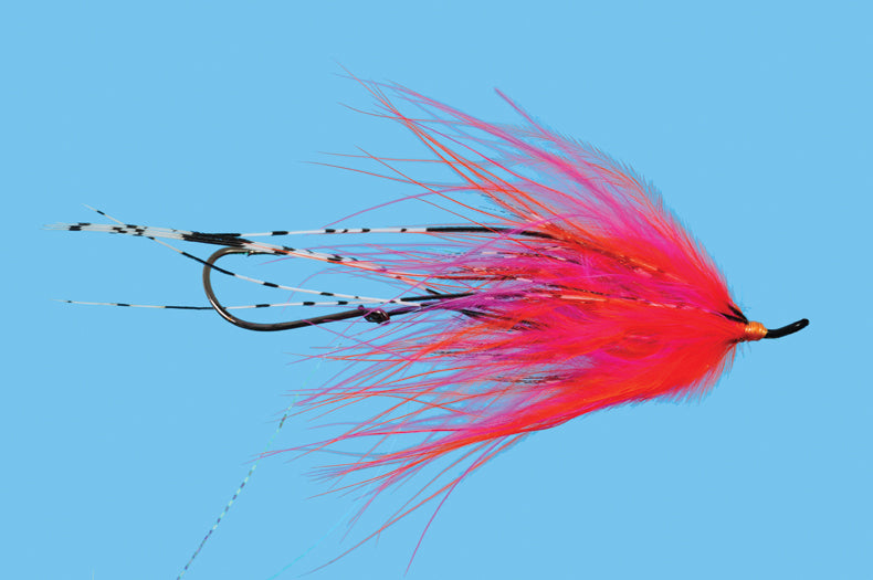 Hoh Bo Spey