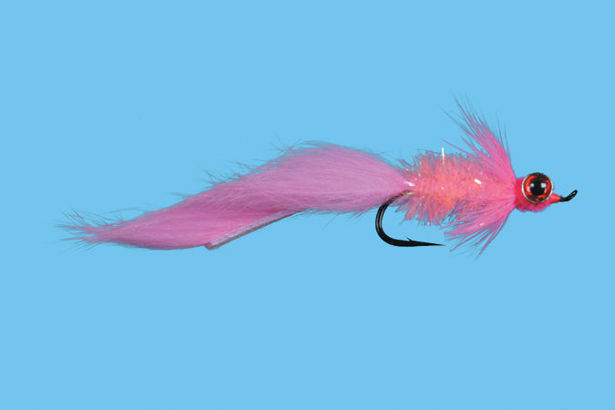 Starlight Leech