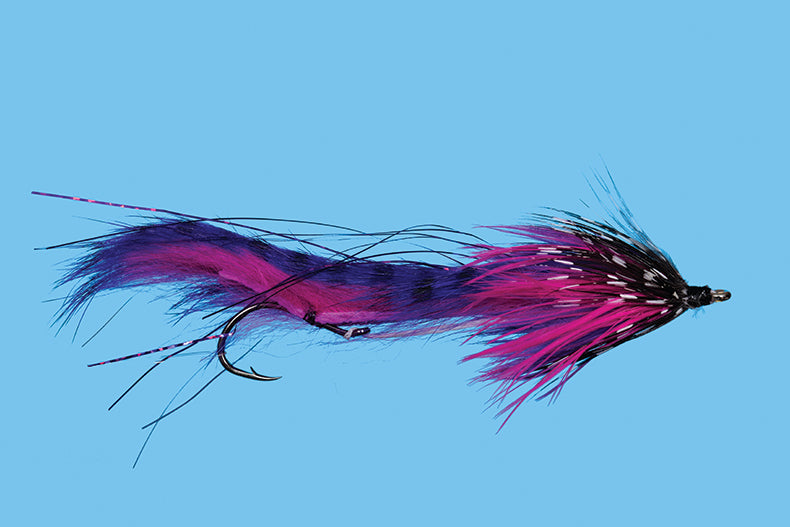 String Leech