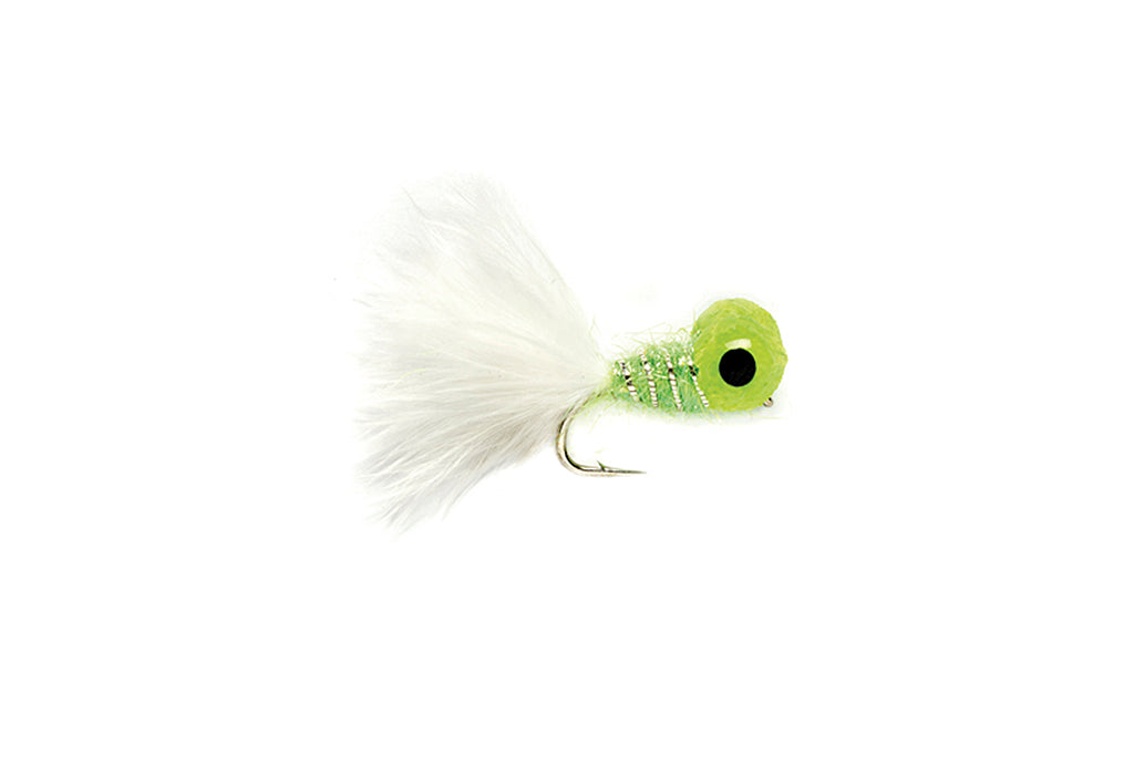 Big Eyed Panfish Bug