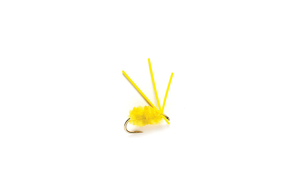 Bully Bluegill Spider