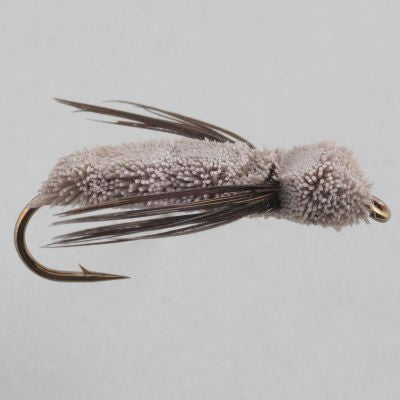Gomphus Dragon