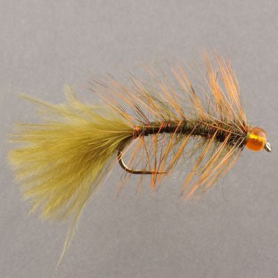 Pumpkin Head Leech