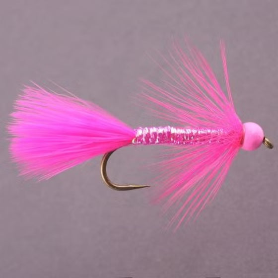 Tyee Crystal Terror