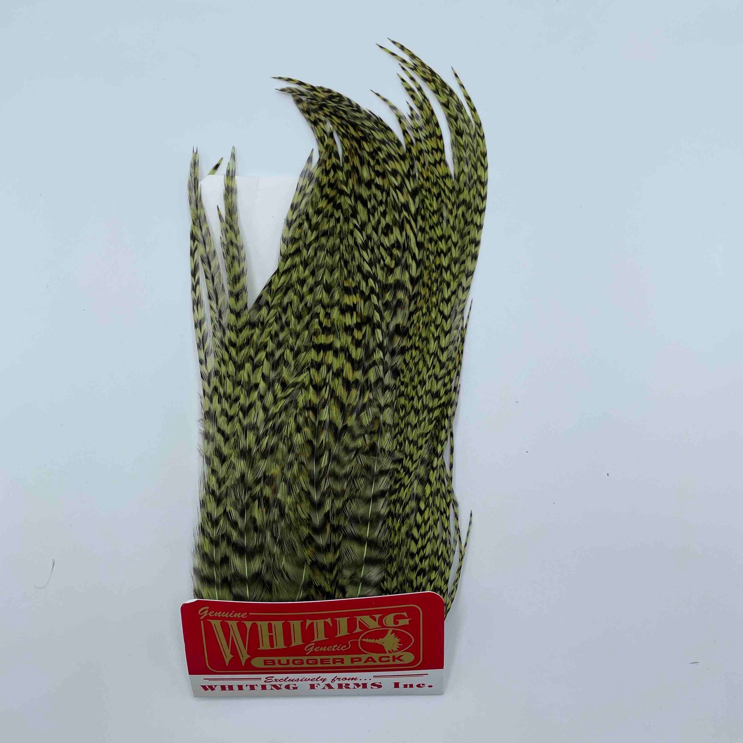 Whiting Farms Bugger Packs