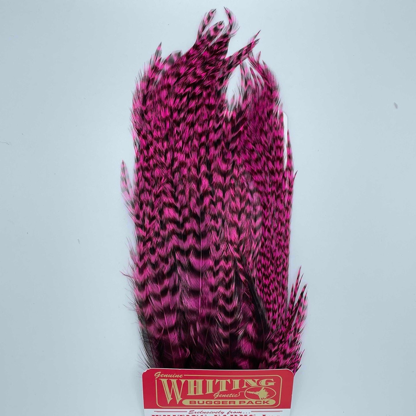 Whiting Farms Bugger Packs