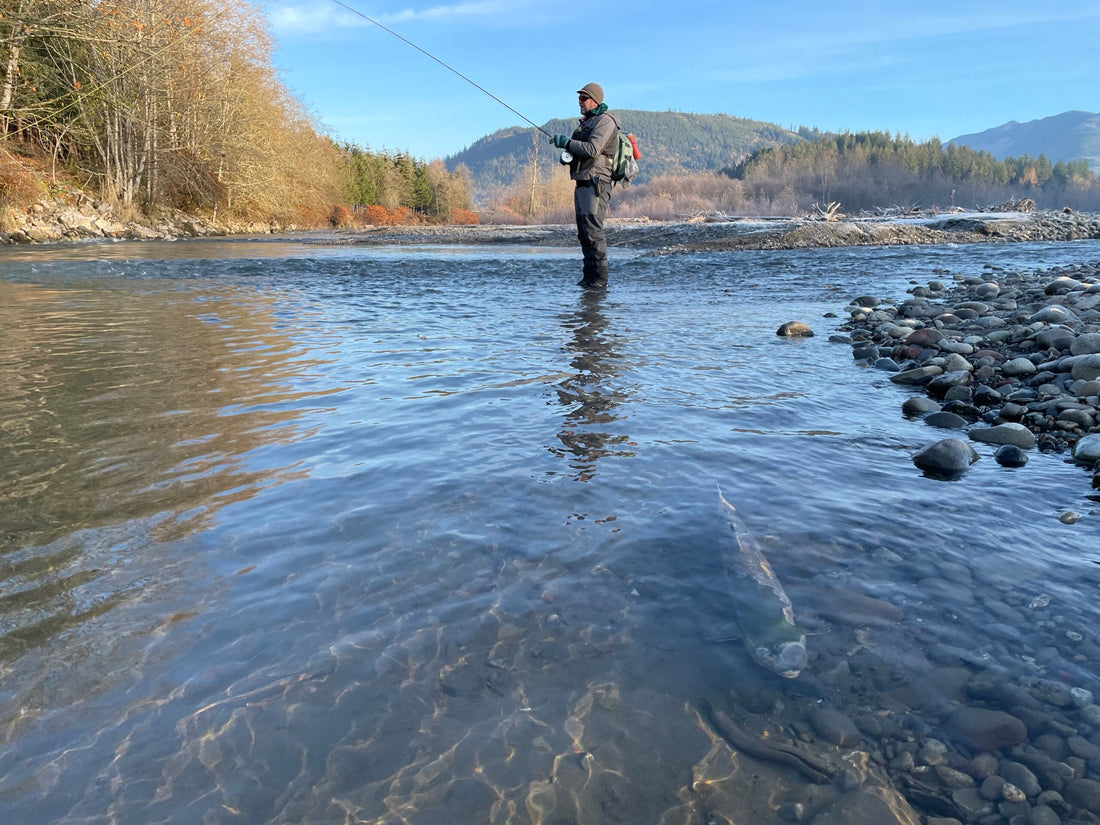 Fly Fishing Report: December 2022