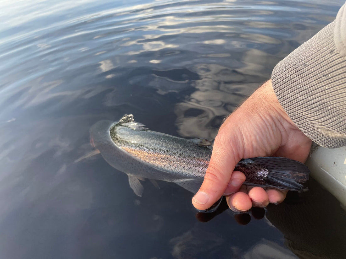 Fly Fishing Report: May 2023