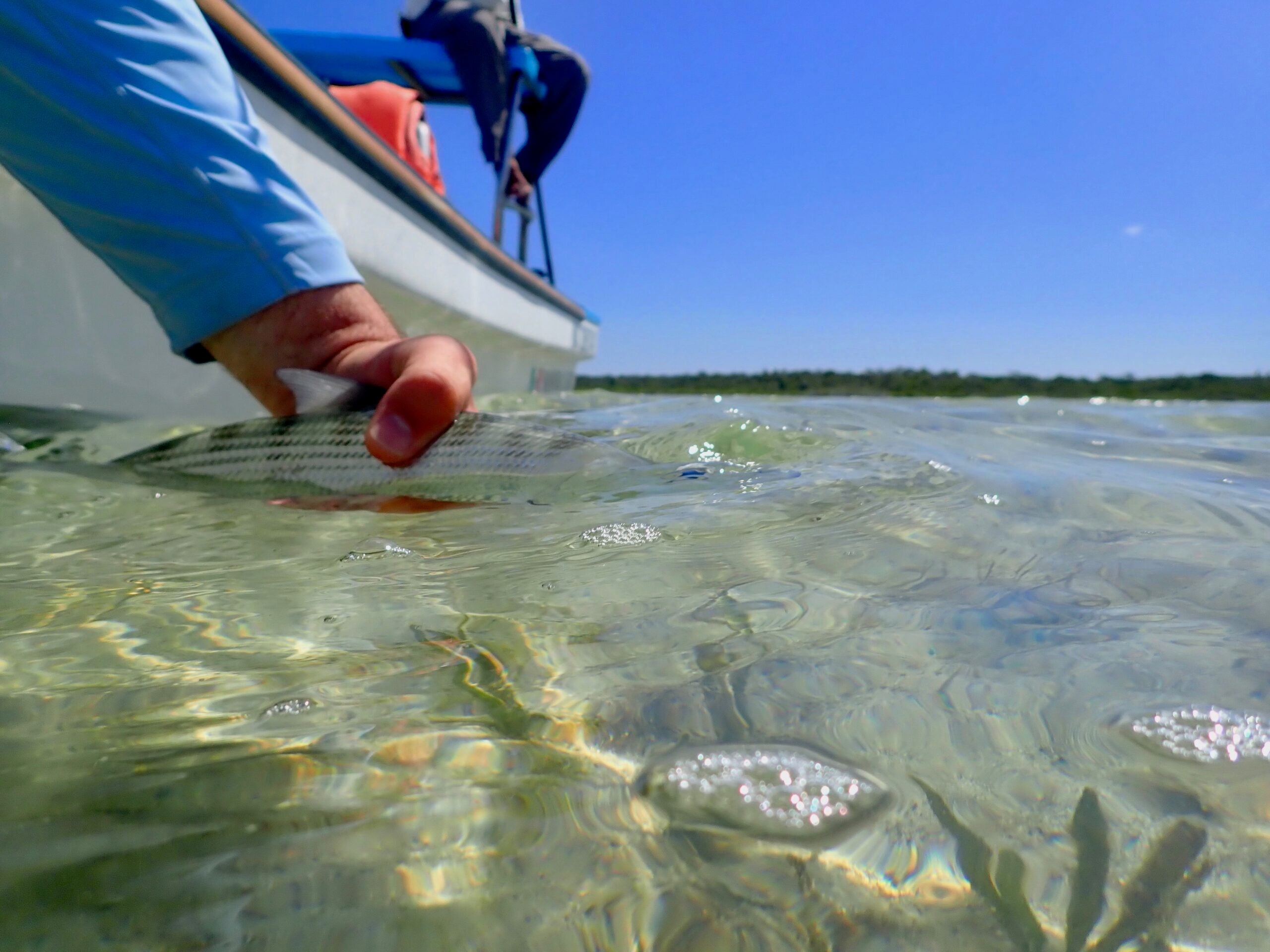 Fly Fishing Report: March 2023