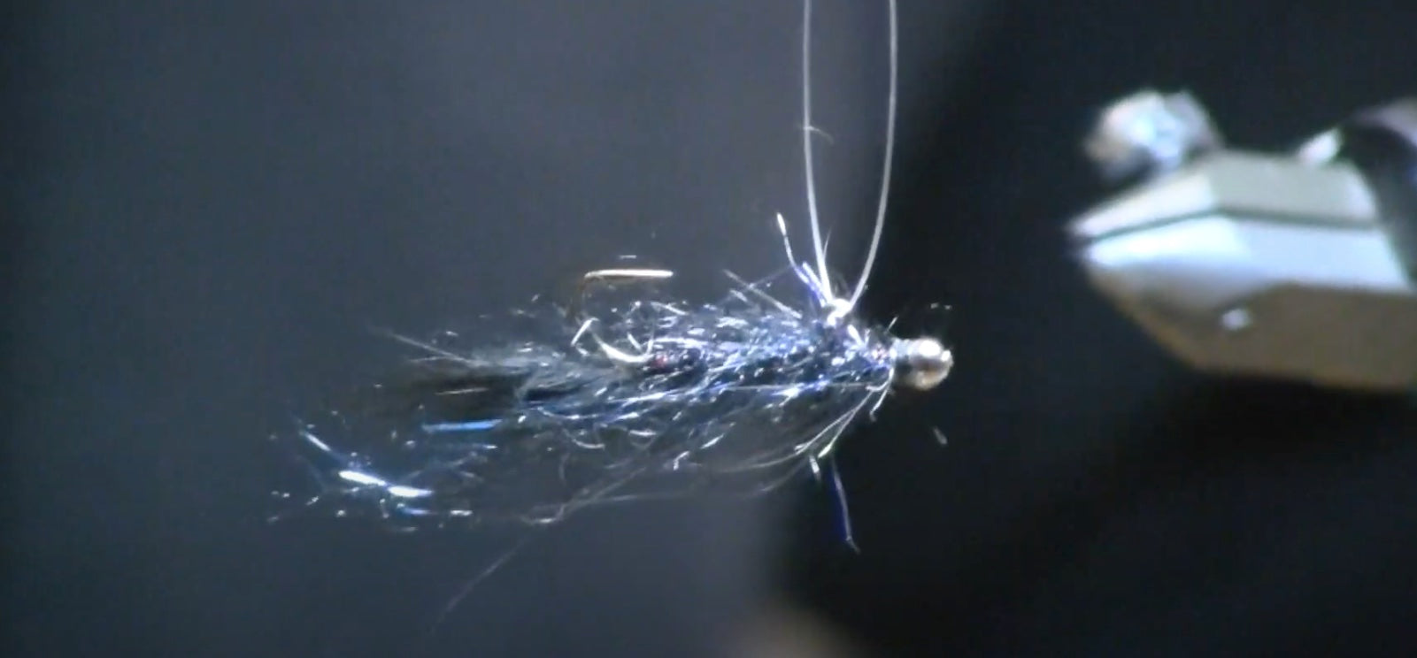January Fly of the Month: Black & Blue Balanced Leech