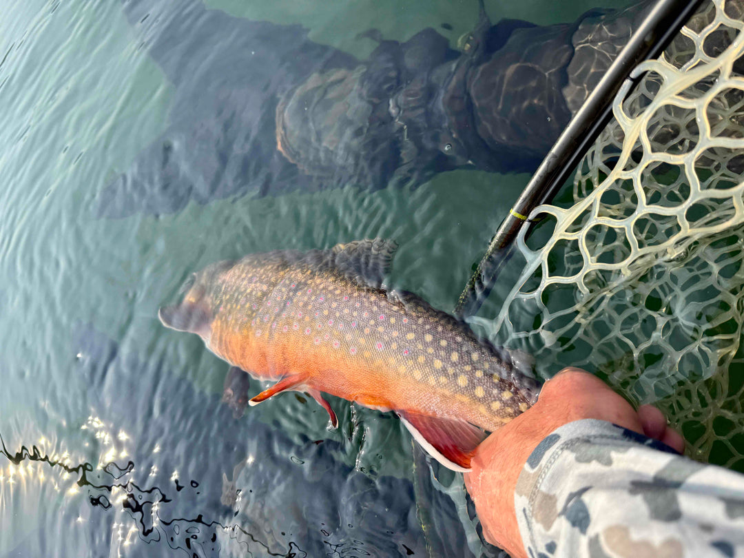 Fly Fishing Report: October 2025