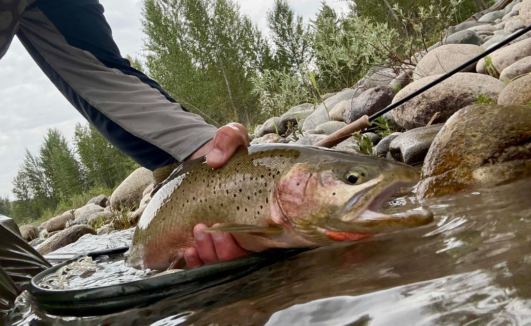 Fly Fishing Report: July 2025