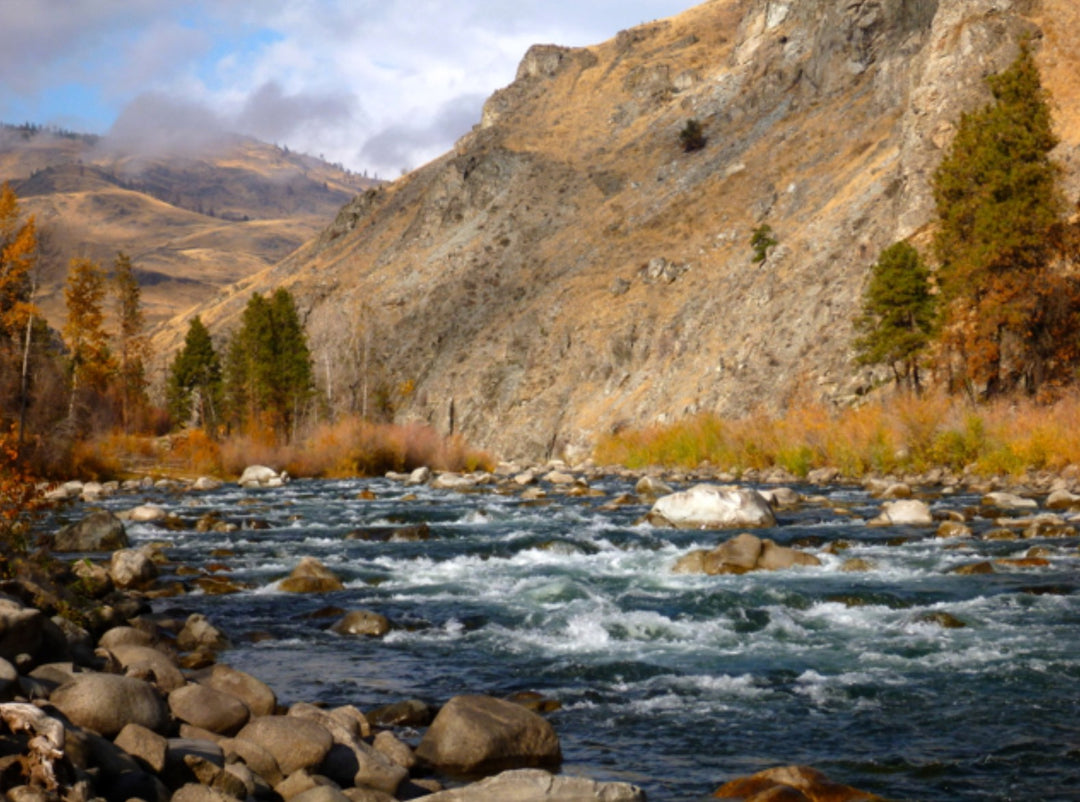 Fly Fishing Report: November 2015