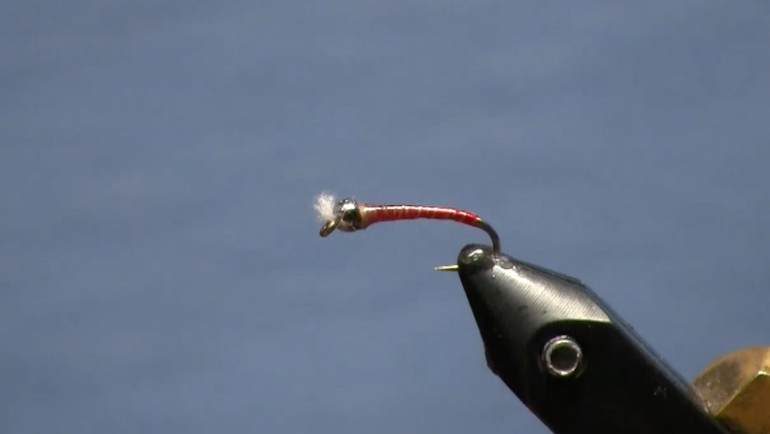 April Fly of the Month: Bloody Tan Chironomid
