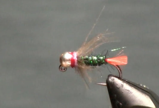 February Fly of the Month: The Blowtorch