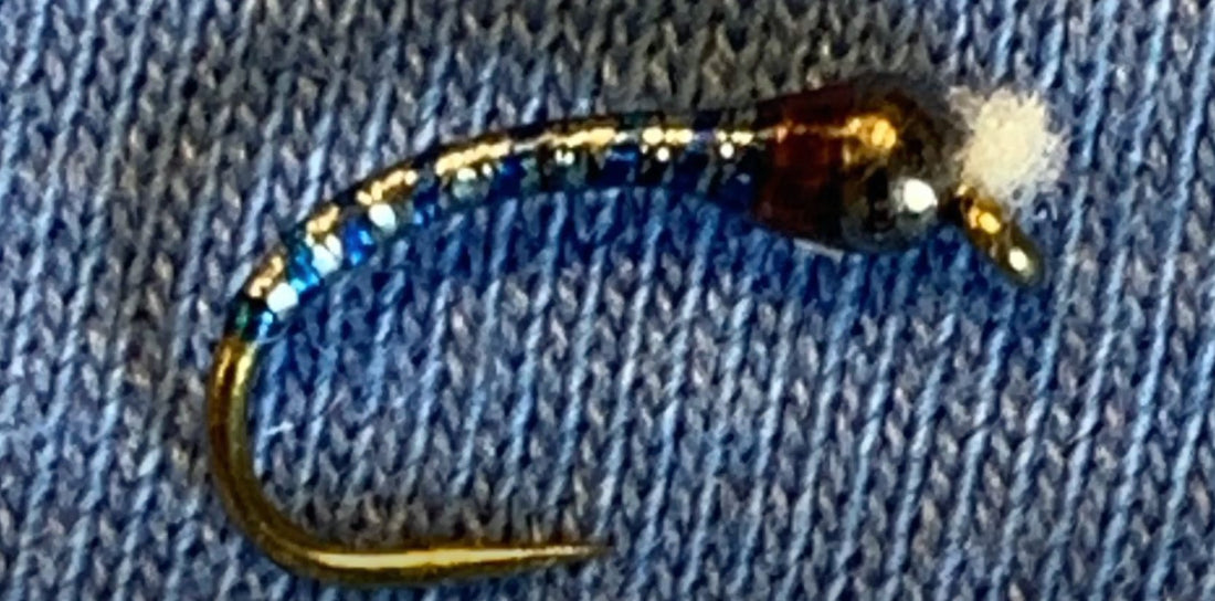 Bonus May Fly of the Month: Blue Chromie Chironomid