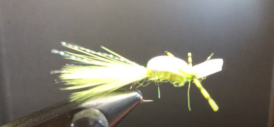 May Fly of the Month: Bluegill Gurgler