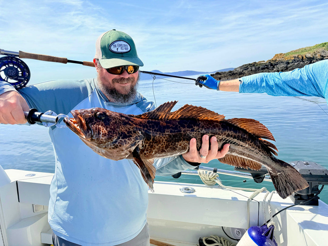 Fly Fishing Report: May 2026