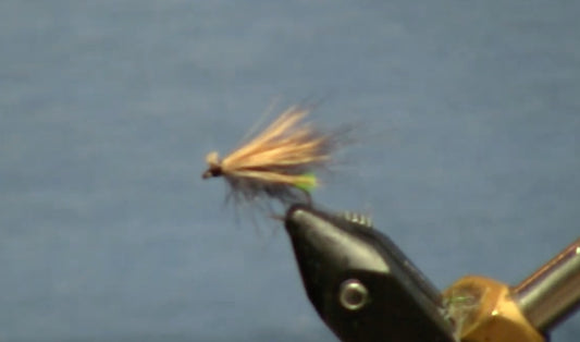 May Fly of the Month: Hot Butt CDC Caddis