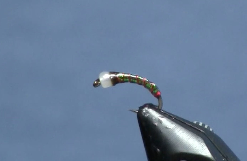 May Fly of the Month: Christmas Tree Chironomid